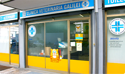 Galleria foto clinica